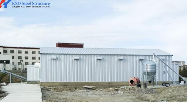 Galvanized Steel Structure Poultry House with Automatic Feeding System