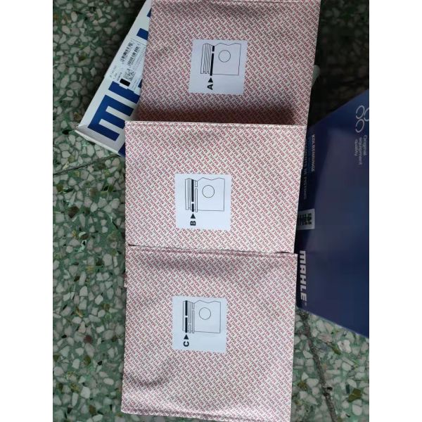 TAD1631G TAD1631GE Cylinder Liner Kit RIK Piston Rings 3837146 Mahle 03816vo