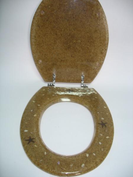 sea star shell toilet seat