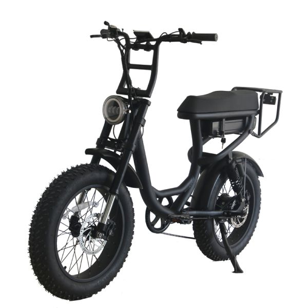 Electric Bicycle 48v 20 Inch Adult E Bike Customized Aluminum Alloy Frame 2022 Mountain
