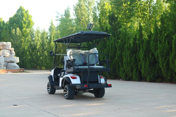 Novo Carrinho de Golf 4 lugares Bateria Elétrica de Chumbo Acido Adequado para Clube Moderno e Popular