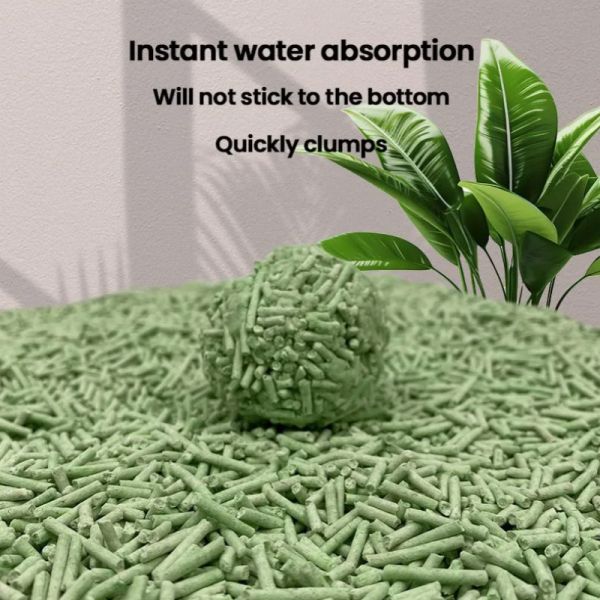 Litière pour chat agglomérante, écologique, durable, organique, au soja, au thé vert, et jetable dans les toilettes