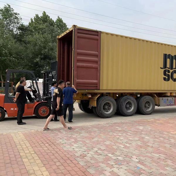 Подгонянный с тележки 48Вольт 60в 72в 30км/Х гольфа дороги НЭВ