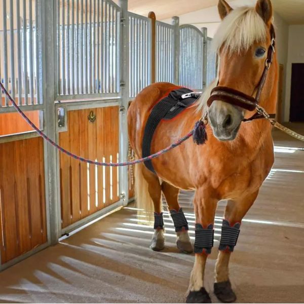 Infrared Therapeutic Heating Pad 660nm Household Medical Supplies 850nm