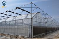 Invernadero de acero galvanizado para el cultivo de verduras