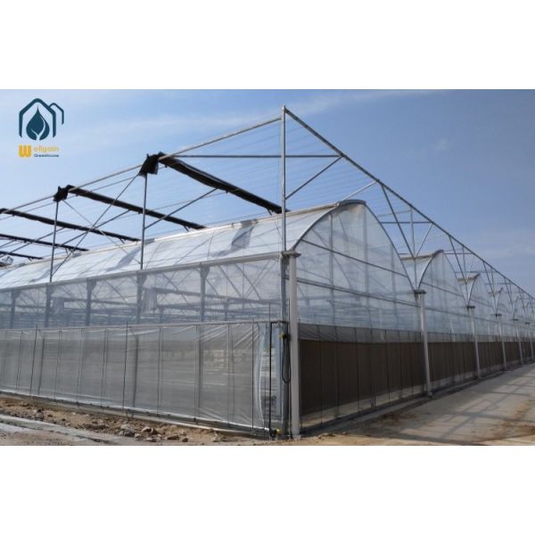 Corrosion Resistant Galvanized Steel Greenhouse Durable Agricultural Greenhouse