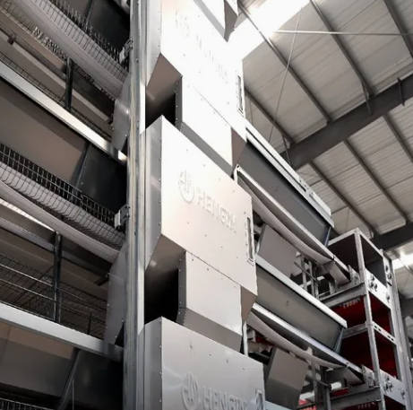 Hot-Dip Galvanized Steel Automatic Chicken Cage with 15-20 Year Lifespan and Automated Feeding System