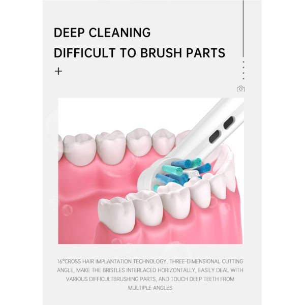 4Pcs 360 Rotating Round Heads Oral Dental Cleaning Replacement Toothbrush Heads