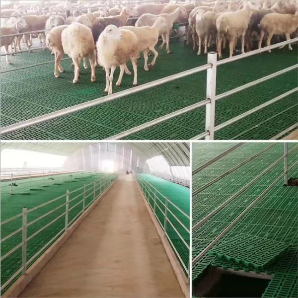 Pure PP Sow Goat Farming Slatted Floor 30*60cm Plastic Livestock Slats