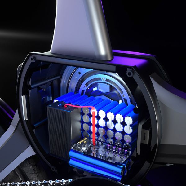 14 Inch Small-sized Driving Booster Battery Folding Electric Bicycle Bike Lithium Battery Ce LCD Aluminum Alloy