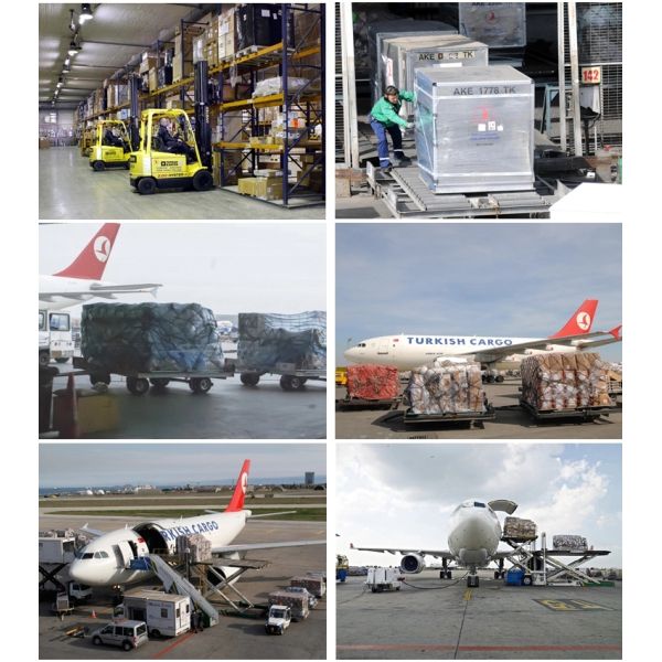 Train Rail Freight From China To Europe UK France Poalnd Spain Sweden DDU DDP