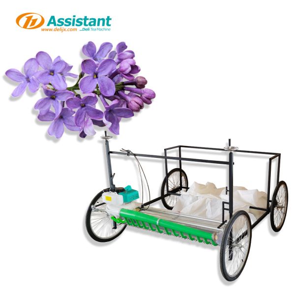 300 mm Working Width DL-4CP-1210W Lavender Flowers Stevia Harvester for Food Beverage