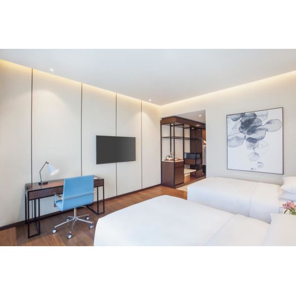 India Hyatt Hotel Blue Theme National Features Thin Structure Furnitures