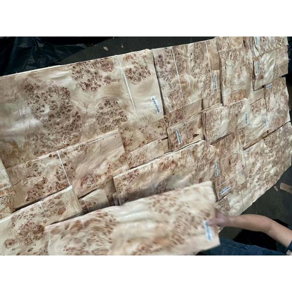 Natural Wood Mappa Burl Veneer Sheet with Sliced Cut and 12-15% Moisture for