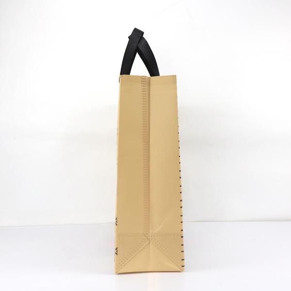 Travel Non Woven Fabric Gift Reusable Shopping Bags With Handles