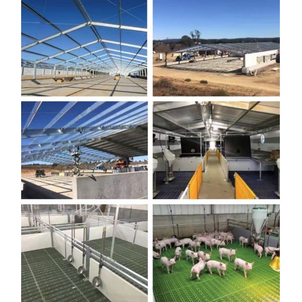 Construcción de un cobertizo de pollo