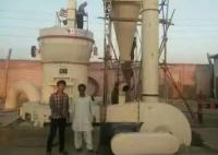 Machine verticale de Sepiolite Raymond Mill Pulverizer Grinding Mill de minerais