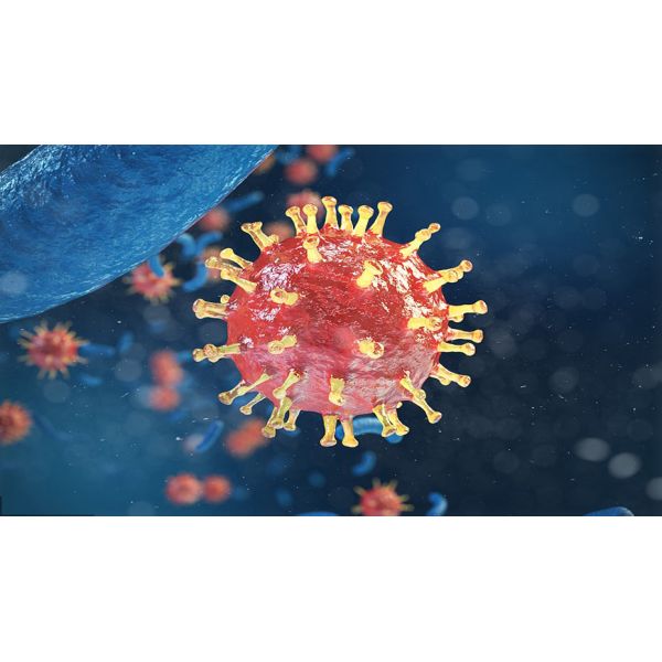 Home STD Testing 25ml Serum Plasma HIV Rapid Test Kit