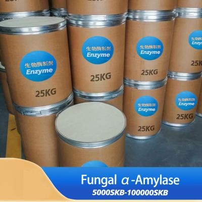 Amylase pour la cuisson 100000SKB pour la cuisson du pain Spécifications de l'activité enzymatique personnalisée