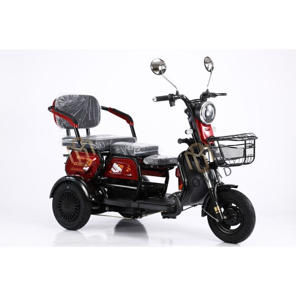 2024 Electric Tricycle Motorcycle Bike Three Wheel with Single Gross Weight of 75.000 kg and Voltage of 48V