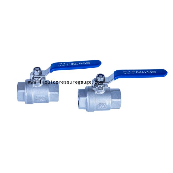 1000 psi 2 PC Ball Instrument Manifold Valve With Bule Handle 3/4 NPT Female To Female