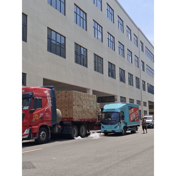 20W Dual-Purpose Hair Curler Straightener with 200-250°C Temperature Control and Dual Wet and Dry Styling