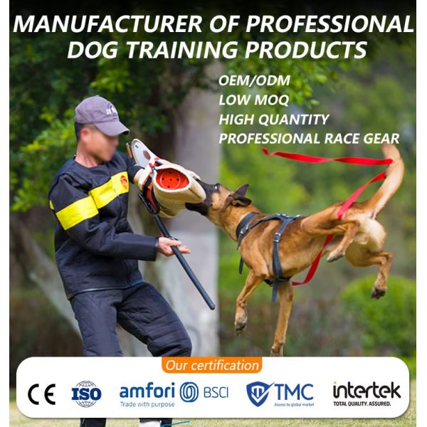 Dog Training Supplies Click Sound Clicker Training Sounder Clicker Sound Guide Durable Training Whistle for Dog