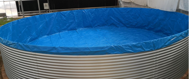 Industrial Indoor Recirculating Aquaculture System 7kg/M³ Shrimp Density 30% Faster Growth