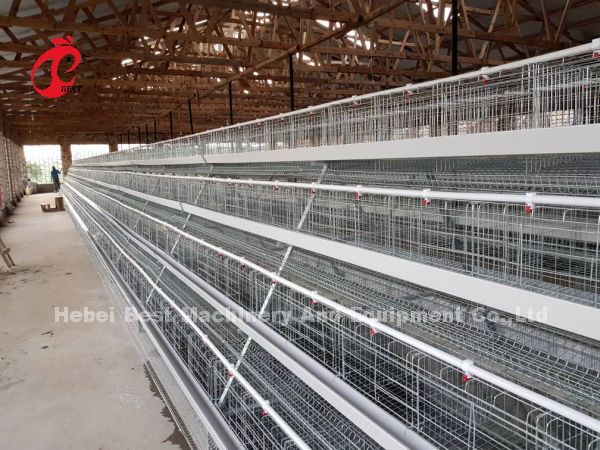 Discount A Type Poultry Battery Cage For Layer Sale 160 birds In Zambia Adela