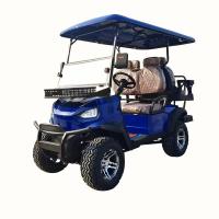 Custom Golf Cart 4-6 Seats Scenic Electric Sightseeing Car Patrol