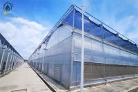 Serre en plastique multifonctionnelle pour la culture hydroponique de tomates et de laitue