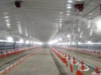 Estrutura de aço galvanizado pré-fabricado