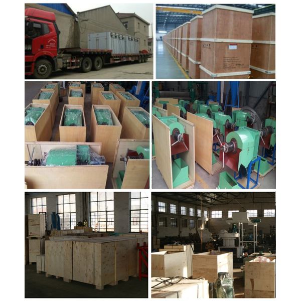 Small Palm Fruit Oil Expeller 300-500kg/hour Palm Oil Press for Oil Extraction