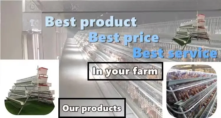 High Strength PP Poultry Pan Feeding System Anti Waste Design For Broiler Production