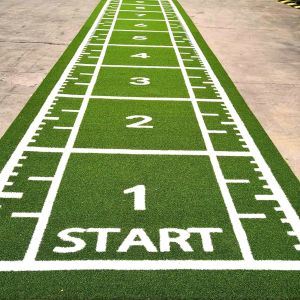 Gym Flooring Turf