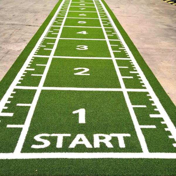 Dorelom Fitness Lawn Carpet Flooring Black Blue Rainbow Synthetic Fake Turf Gym Artificial Grass For Fitness
