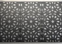 Decorative Stainless Steel Ceiling Panel with Customizable Perforated Patterns