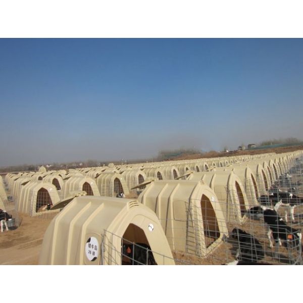 Cattle Farming Calfhutch Pure PE Calf Housing Cage Anti Corrosion