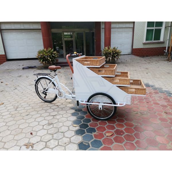 Outdoor Street Snack Bike Food Service Trailer Cart for Vegetable Food Cart Vending