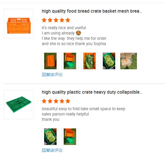 Складываемый экологически чистый пластиковый ящик, настраиваемый для сбора урожая и продажи продукции