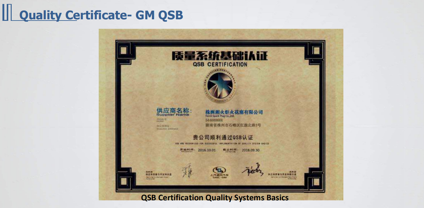 Тип свеча зажигания 1245-2828 двигателя MWM TCG2020 с 5 отверстиями и старыми штепсельными вилками