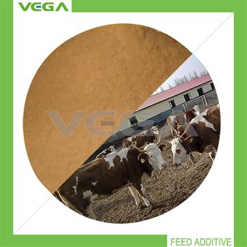 China Product Bacitracin Zinc 10%/15% Supplier