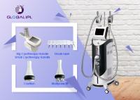 Professionnel 4 dans 1 laser de diode de cavitation de Cryotherapy rf amincissant la machine 1000W de puissance de sortie