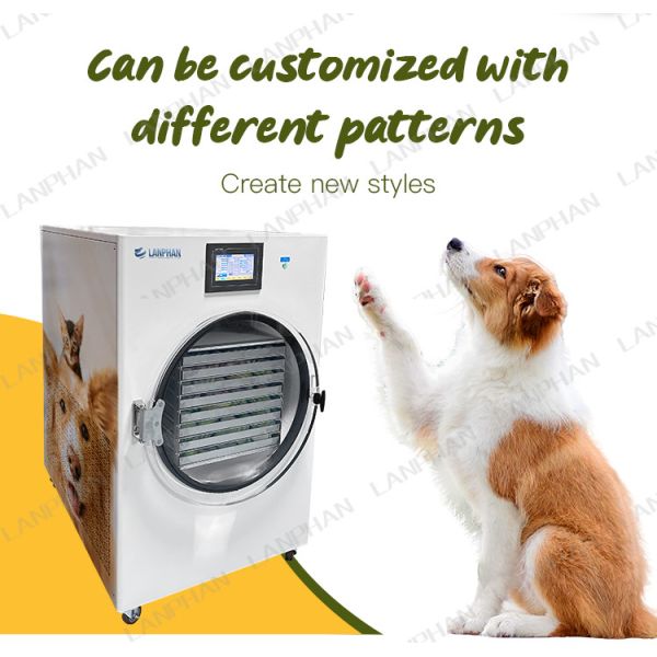 Equipement de séchoir à gel Fruits bonbons Viande séchoir à gel 220V