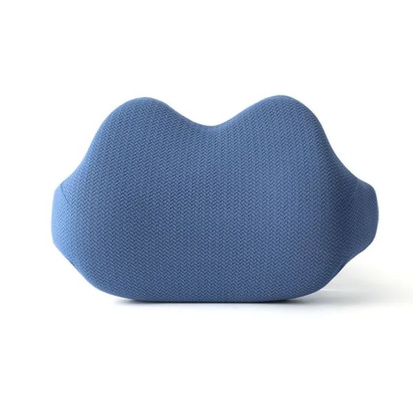 Customized Color Healthy Back Support Cushion for Extra Dense Memory Foam Lumbar Support