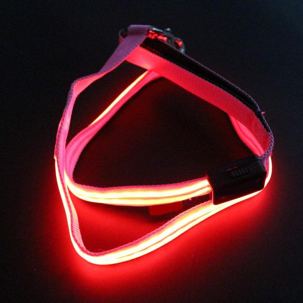 Double Optical Fiber LED Light Up Dog Leash 2 Lighting Modes With Flashlight