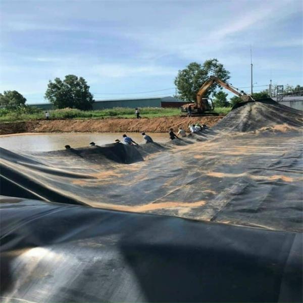 Industrial Design Style 250Mic Black Polyethylene Film HDPE Geomembrane Sheet for Construction in South Africa