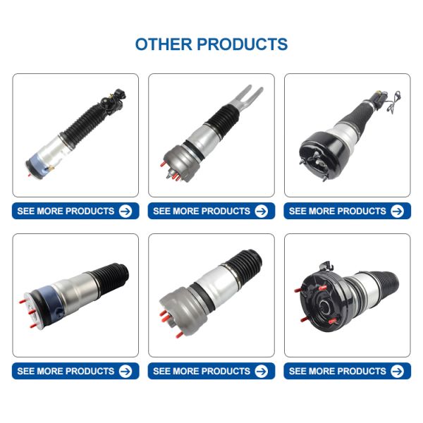 Насос компрессора воздуха Тмайрсус для ОЭМ РКГ100041 на открытие 2 1998-2004