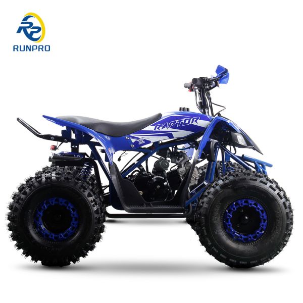 Powerful 125cc Gas Fuel ATV Quads with 2WD Driving Type and Interesting Features