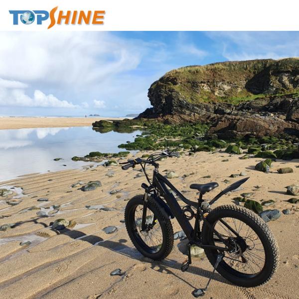 Hydraulic Brake 26X4 Tyre 500w Fat Tire Electric Bike Ebike With GPS Locating LCD